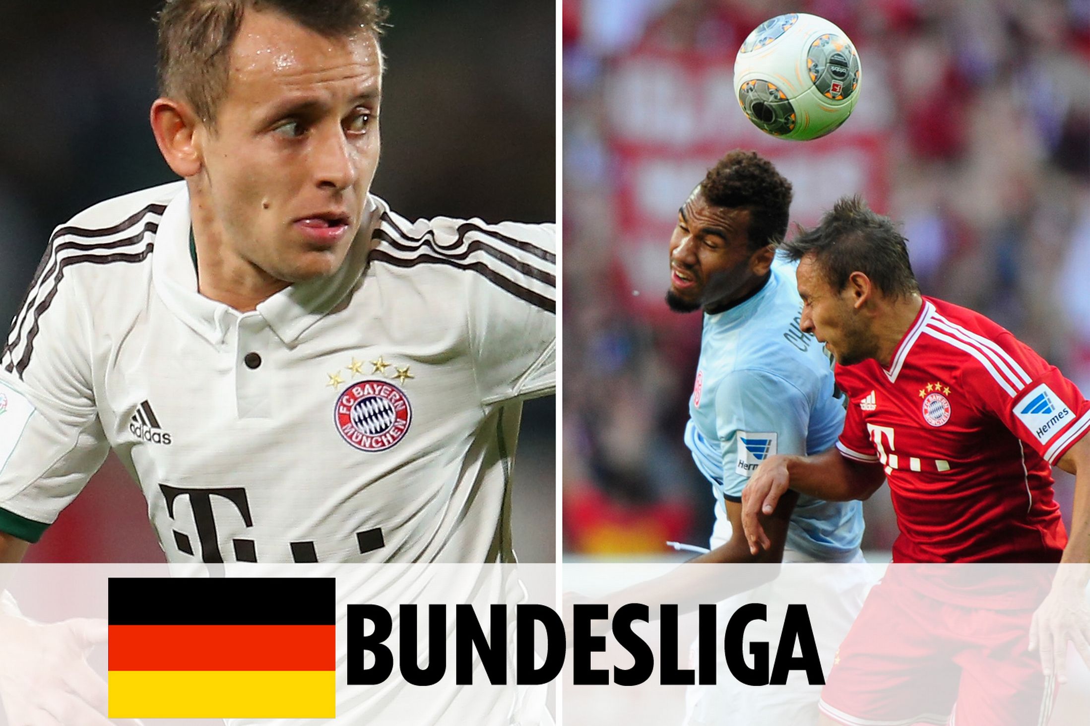 可能在阵容 可能在阵容